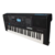 Teclado Musical Yamaha Teclas Sensitivas Preto PSR-E473 na internet