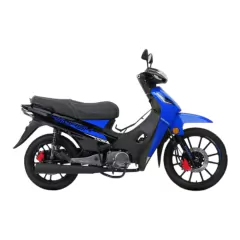 GILERA SMASH 110 FULL CBS+DOBLE DISCO en internet