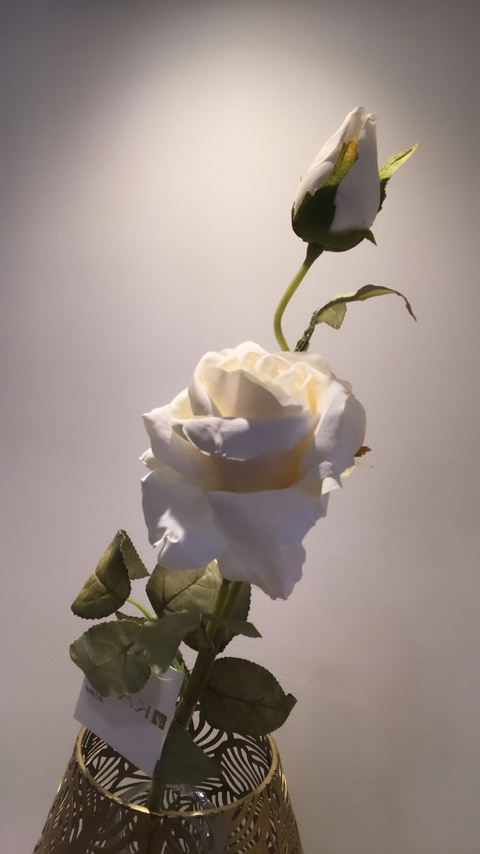 VARA DE ROSAS NATURALES