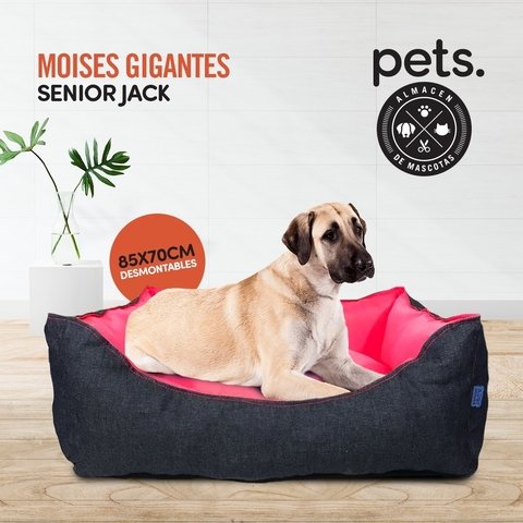 Moises Gigante desmontable