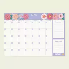 PLANNER MAGNETICO MENSUAL (093BZ) en internet