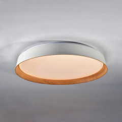 FANNY - Febri Iluminación