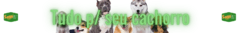 Banner da categoria Cachorros