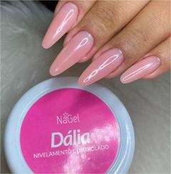 GEL HARD NIVELAMENTO CONTROLADO - DÁLIA NAGEL 25G