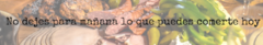 Banner de la categoría Especias