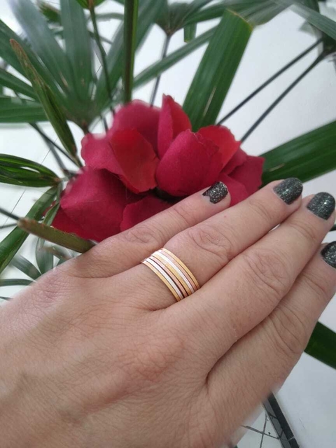 ALIANÇA FOLH. 3 CORES