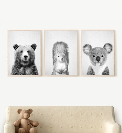 SET X3 OSO+ARDILLA+KOALA