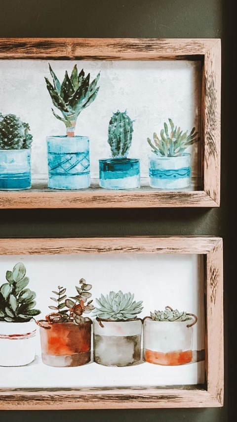 EN STOCK! SERIE JARDIN APAISADOS