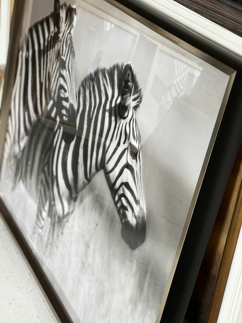 EN STOCK INMEDIATO #2 ZEBRAS