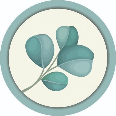 posavasos de cartón plastificado eucaliptos