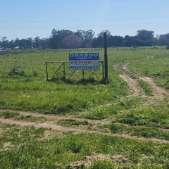 3.3 HECTAREAS SOBRE RUTA 226 - comprar online