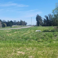 3.3 HECTAREAS SOBRE RUTA 226