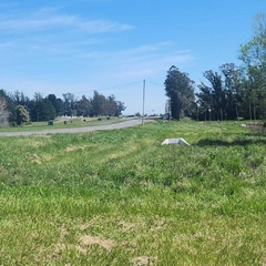 3.4 HECTAREAS SOBRE RUTA 226