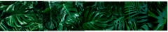 Banner de la categoría Medias