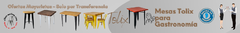 Banner de la categoría Mesas Tolix con tapa de madera – Altura 100 cm para banquetas
