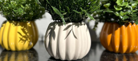 Carrusel Emilia Zeta