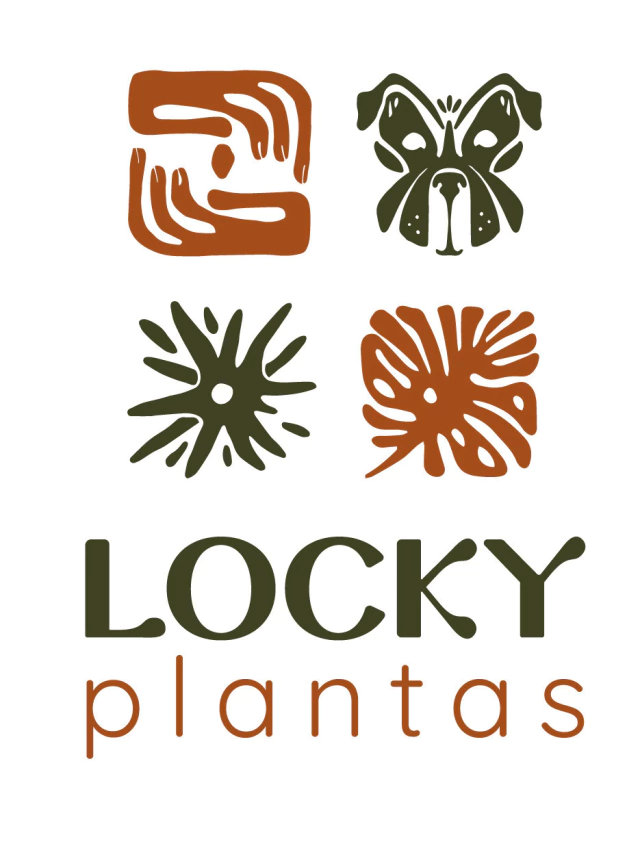 Locky Plantas