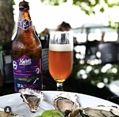 IPAGUAÇU - IPA (12uni) - Delivery Kairós