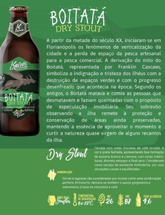 BOYTATÁ - Dry Stout (12uni) - comprar online