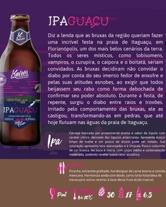 IPAGUAÇU - IPA (12uni) na internet