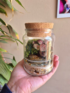 Paraíso - pronta entrega - comprar online