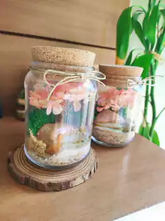 Flor de primavera II