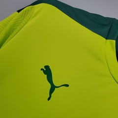 21/22 TREINO PALMEIRAS na internet