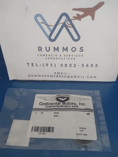 Retentor - PN/ 25102 (Pact. 02 Und)