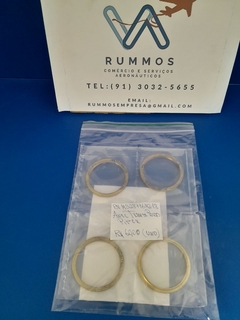 Anel Trem de Piper- PN/ MS28776M2-18 (Und)