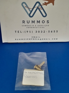 Parafusos - PN/ NAS464P4A8 (Kit 02 Und) - comprar online