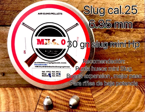 Slug cal.25 / 6.35 mm- 30 gn