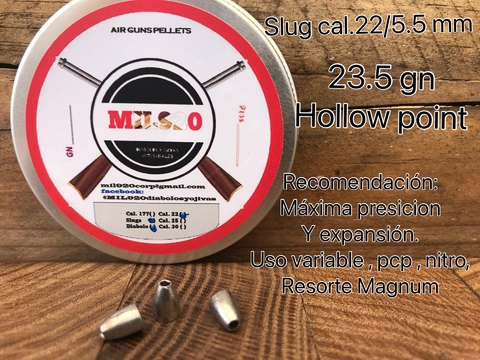 Slug Cal.22 / 5.5 - 23.5 gn Nielsen