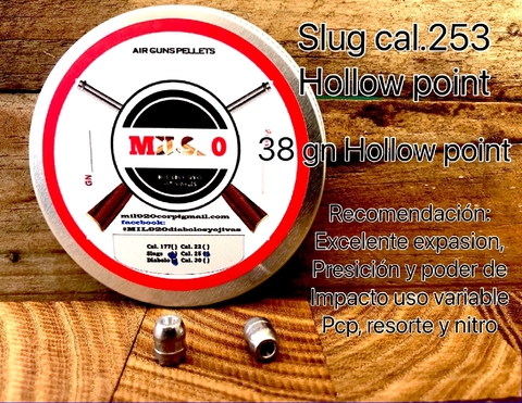 SLUG Cal.25 / 6.35 mm - 38 gn Hp