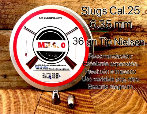 Slug calibre .25 / 6.35mm - 36 gn