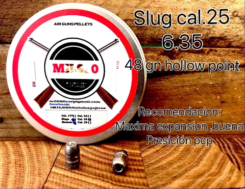 Slug cal .25 / 6.35 mm - 48 gn HP