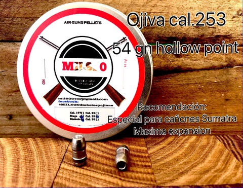 SLUG CAL.253 / 6.35/ 54 gn HP