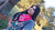 Carrusel 6