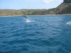 Banner da categoria Porta Treco