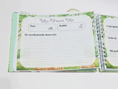 Imagem do Álbum Mesversário - Safari