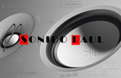 Columna Svs Prime Tower Negro Piano El Par Dist Oficial - comprar online