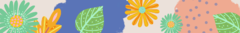 Banner de la categoría PIEL GRASA
