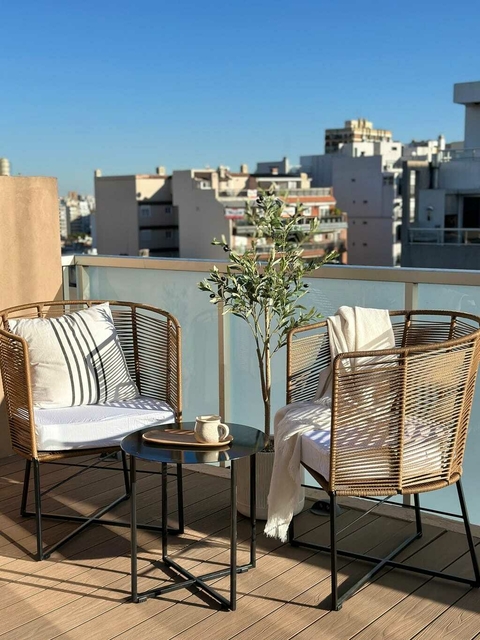 arbol de olivos para terrazas