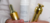 Banner rotativo 4