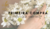 Banner de AMORA ACESSÓRIOS