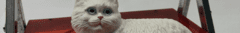 Banner de la categoría abrigos