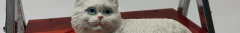Banner de la categoría vestidos