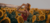 Banner rotativo 1