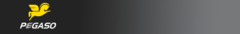 Banner de la categoría Pegaso