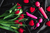 Banner rotativo 4