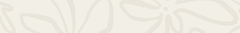 Banner de la categoría Set